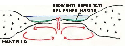 fig 2b