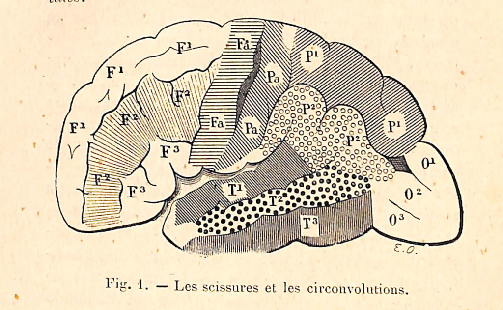 fig 001