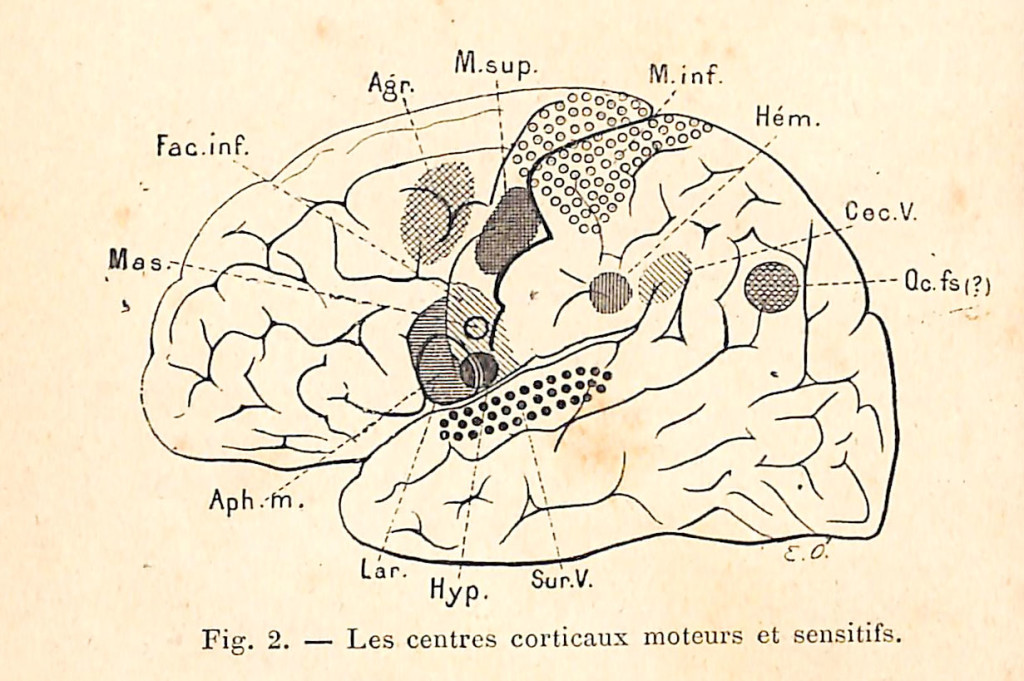 fig 002