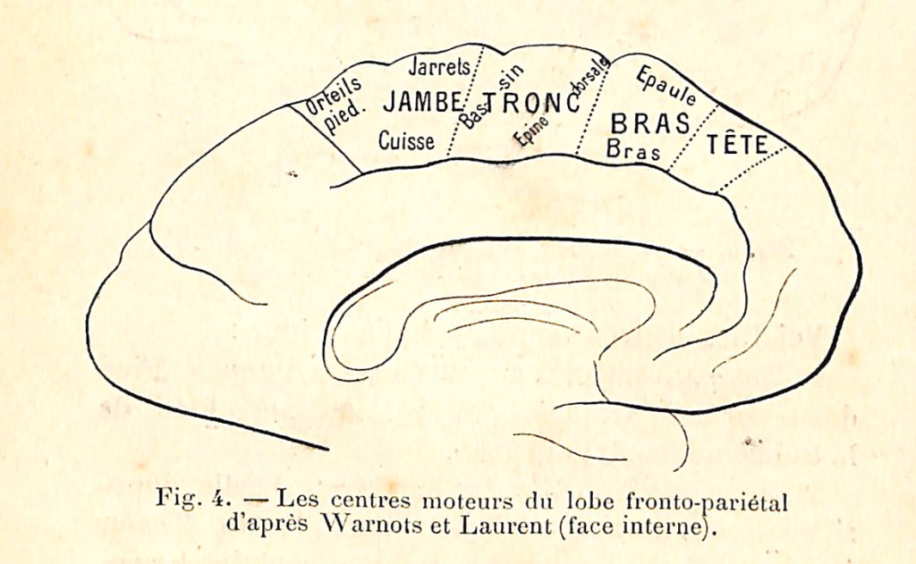 fig 004