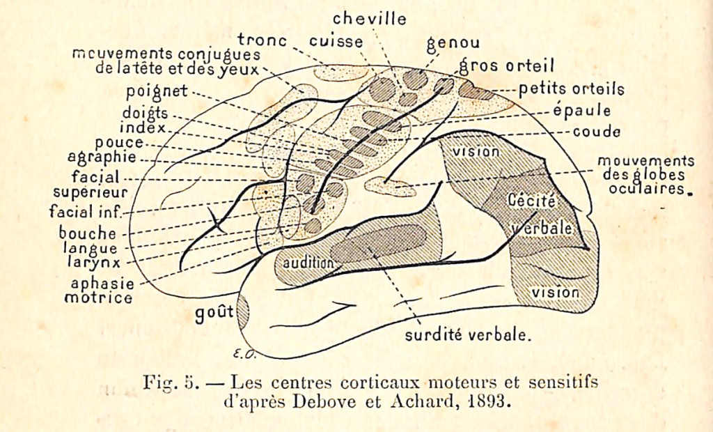 fig 005