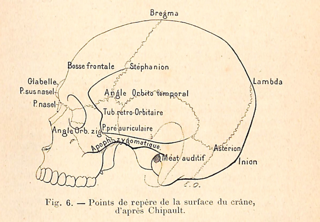 fig 006