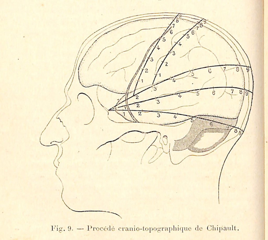 fig 009