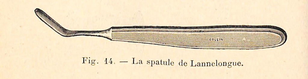 fig 017